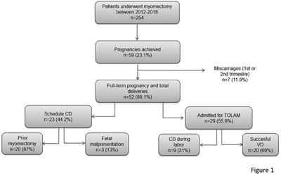 Comparison of surgical and obstetric outcomes in women with uterine leiomyomas after laparoscopic vs. abdominal myomectomy: A single-center cohort study